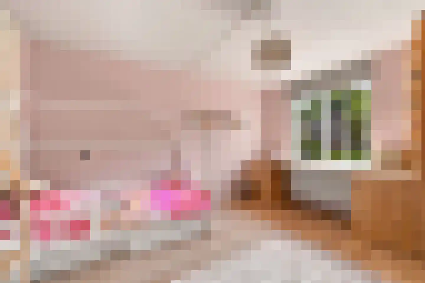 Ganzestraat 12 Heinkenszand thumbnail 15