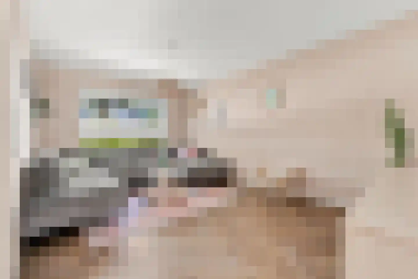 Ganzestraat 12 Heinkenszand thumbnail 4
