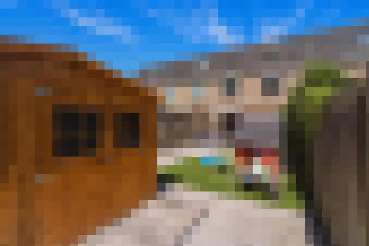 Ganzestraat 12 Heinkenszand thumbnail 40