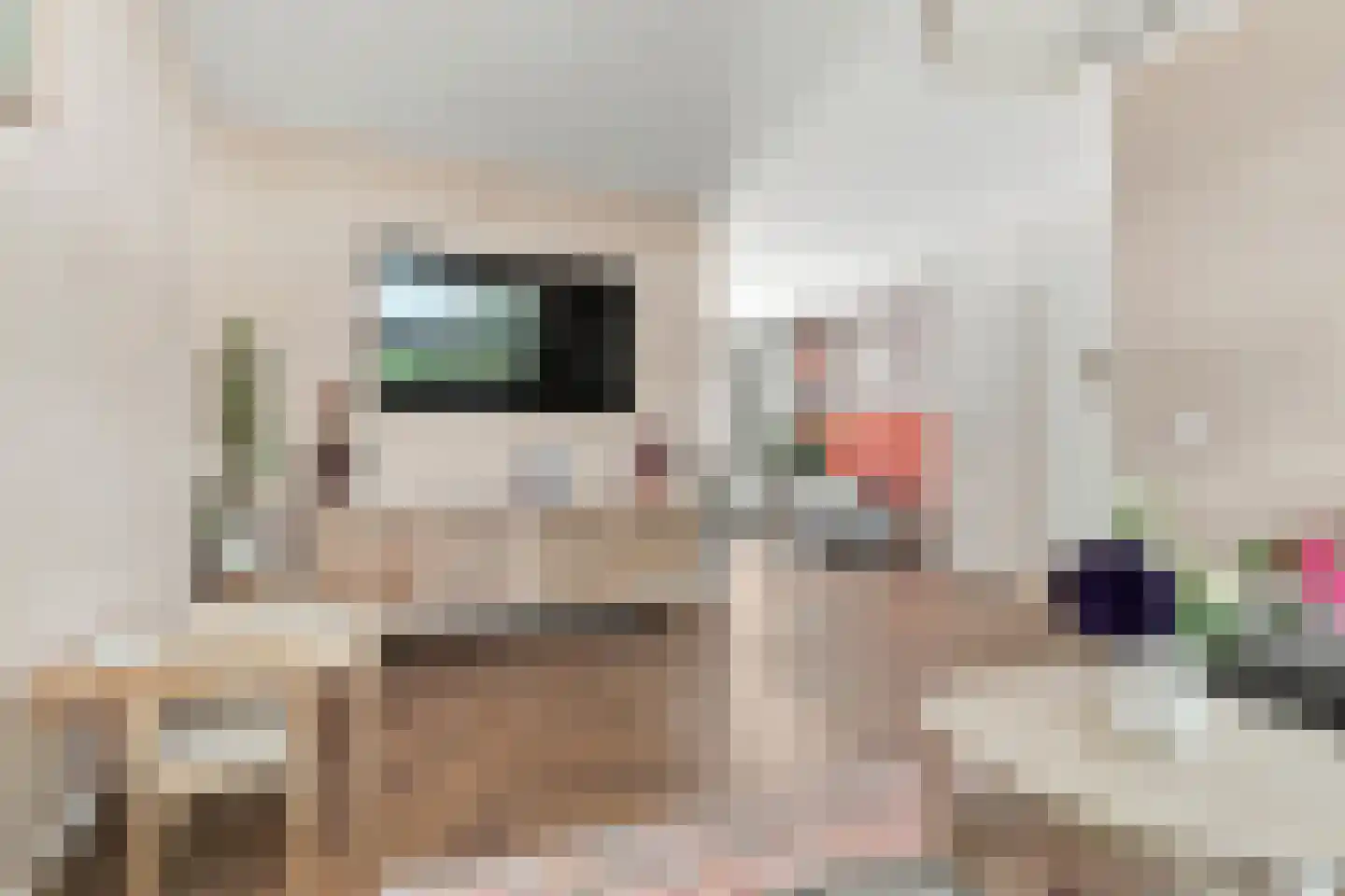 Ganzestraat 12 Heinkenszand thumbnail 6