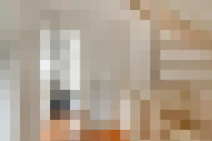 Ganzestraat 23 Heinkenszand thumbnail 31