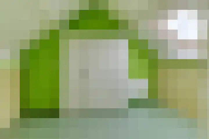 Ganzestraat 23 Heinkenszand thumbnail 32