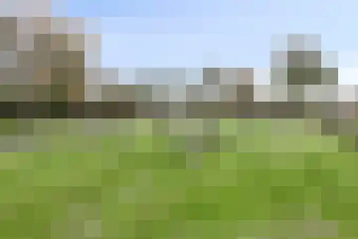 Ganzestraat 23 Heinkenszand thumbnail 42