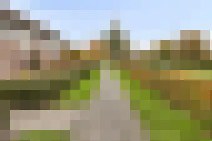Ganzestraat 23 Heinkenszand thumbnail 6