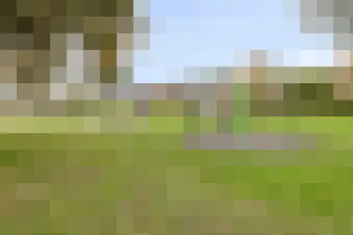 Ganzestraat 23 Heinkenszand thumbnail 7