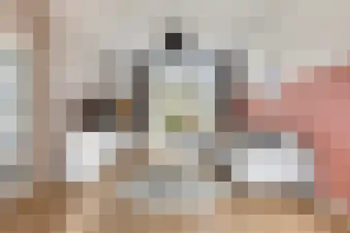 Ganzestraat 23 Heinkenszand thumbnail 8