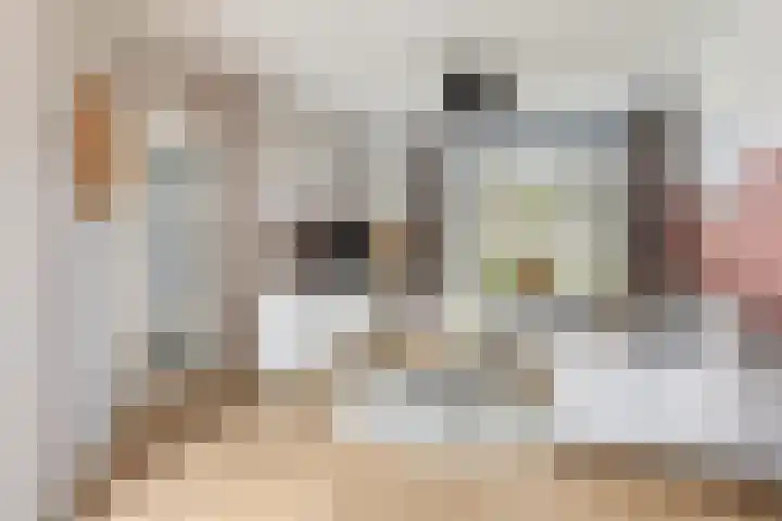 Ganzestraat 23 Heinkenszand thumbnail 9
