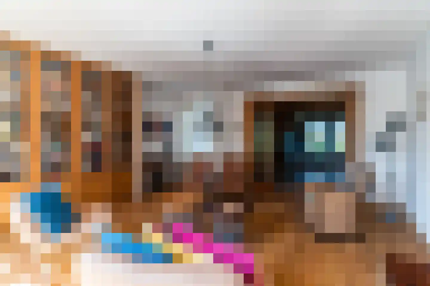 Ganzestraat 30 Hapert thumbnail 14