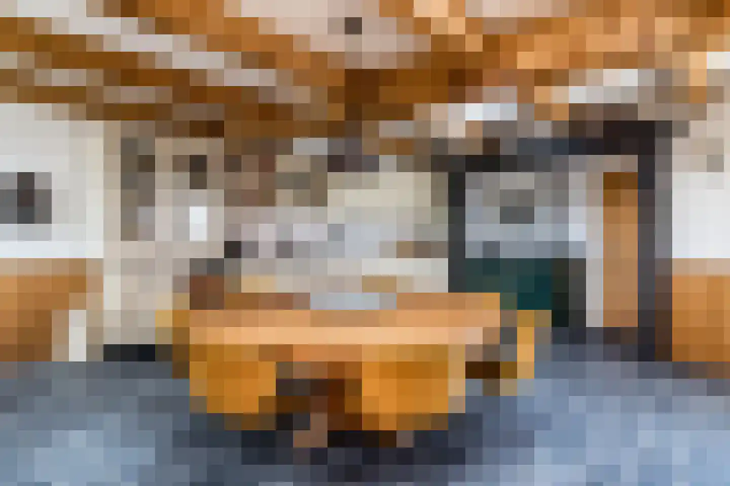 Ganzestraat 30 Hapert thumbnail 16