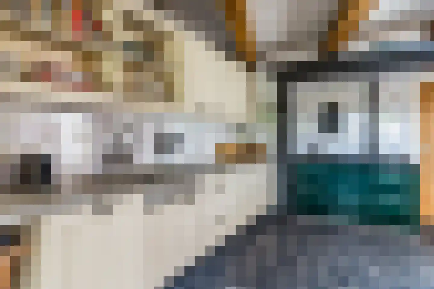 Ganzestraat 30 Hapert thumbnail 20