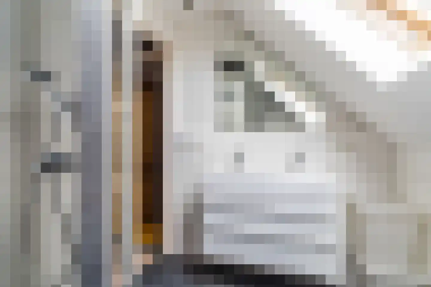 Ganzestraat 30 Hapert thumbnail 22