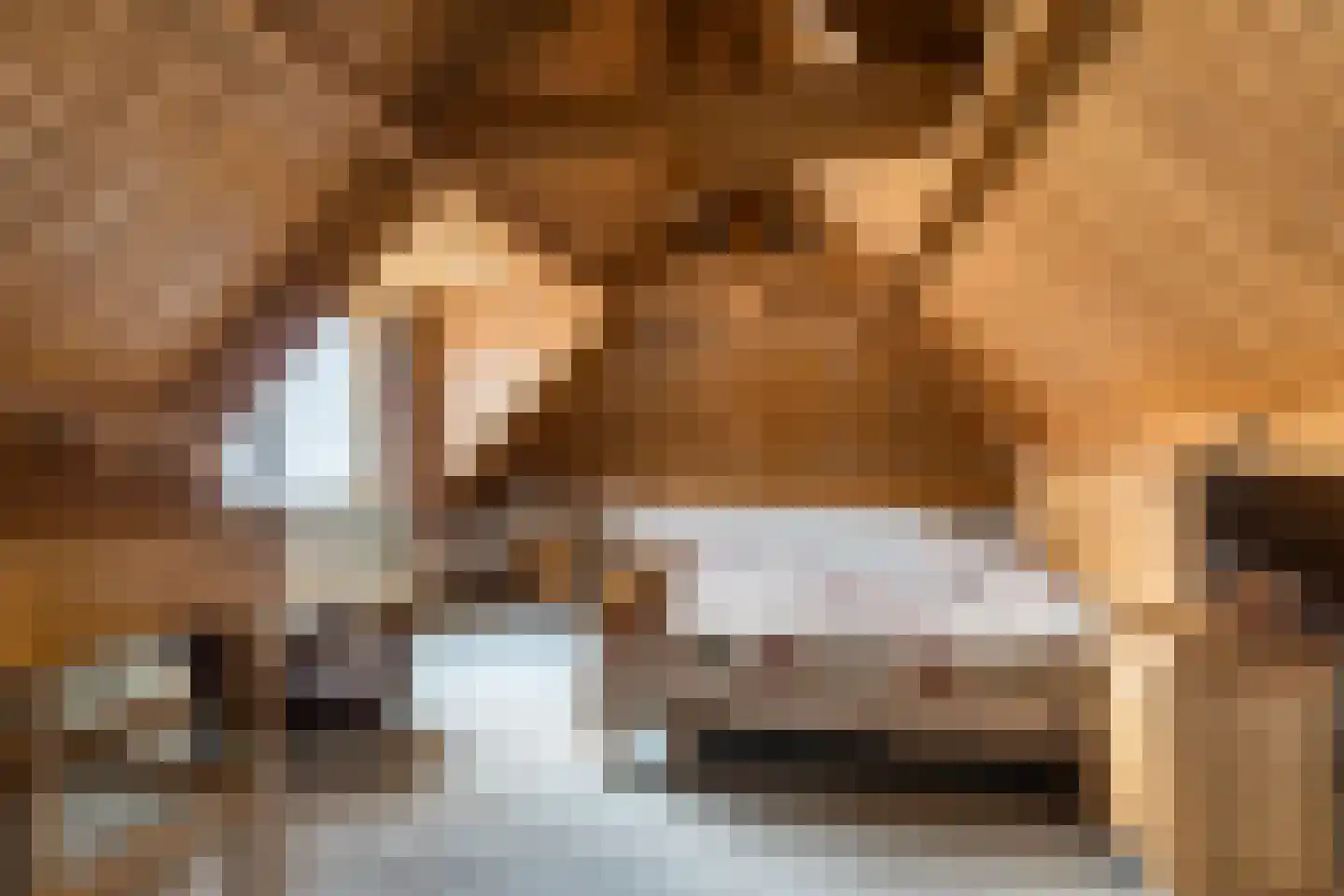 Ganzestraat 30 Hapert thumbnail 23