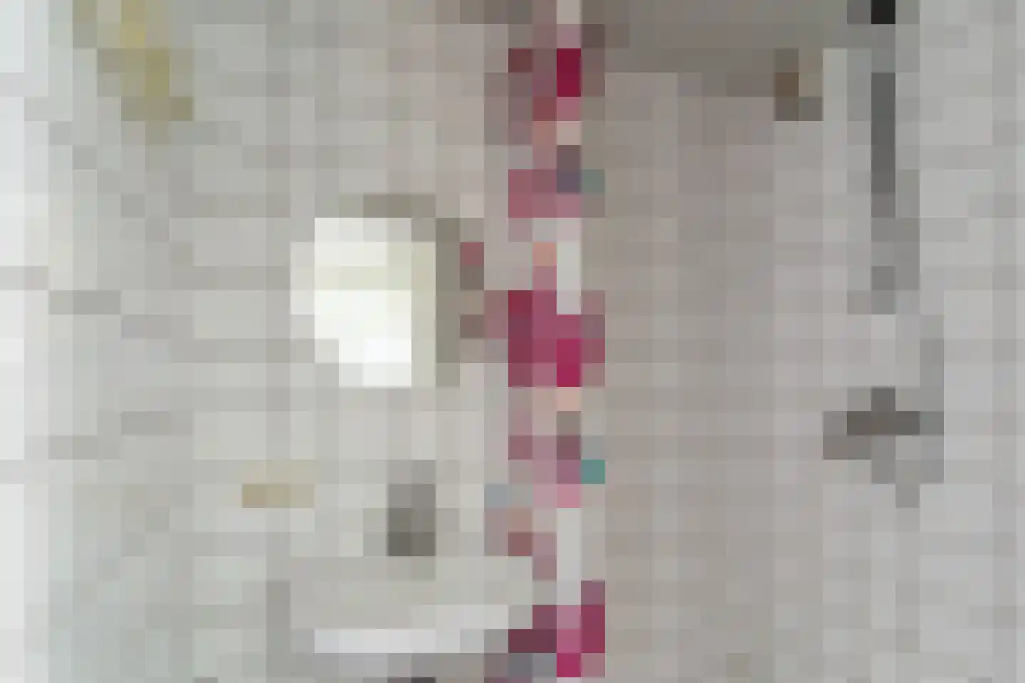 Ganzestraat 30 Hapert thumbnail 24