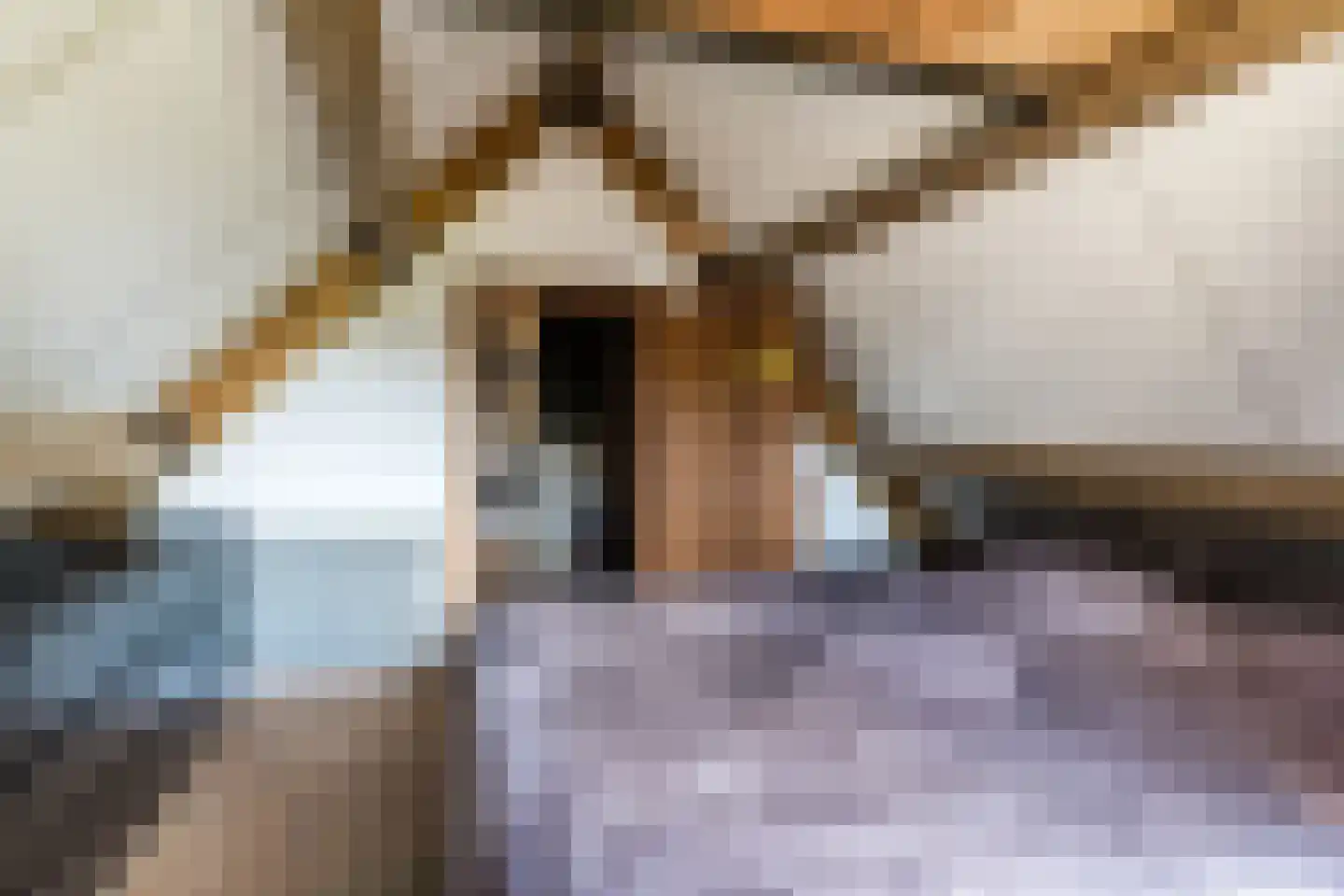 Ganzestraat 30 Hapert thumbnail 29