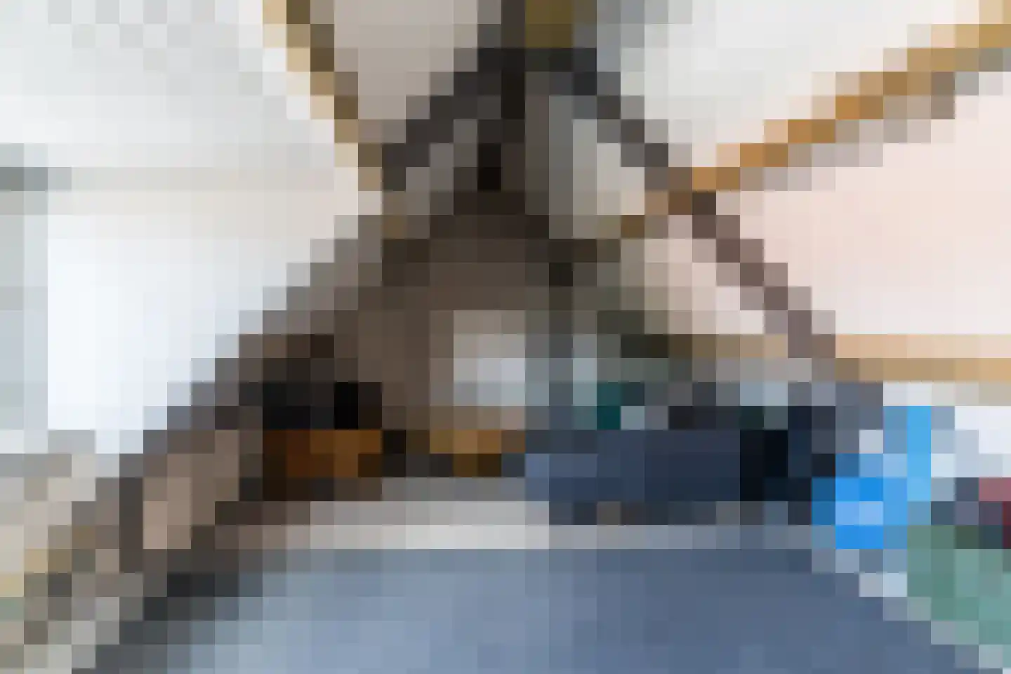 Ganzestraat 30 Hapert thumbnail 38