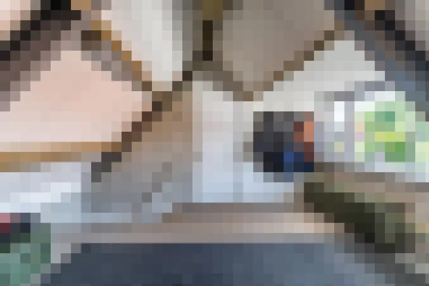 Ganzestraat 30 Hapert thumbnail 39
