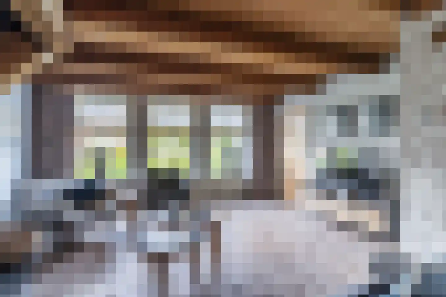 Ganzestraat 30 Hapert thumbnail 6