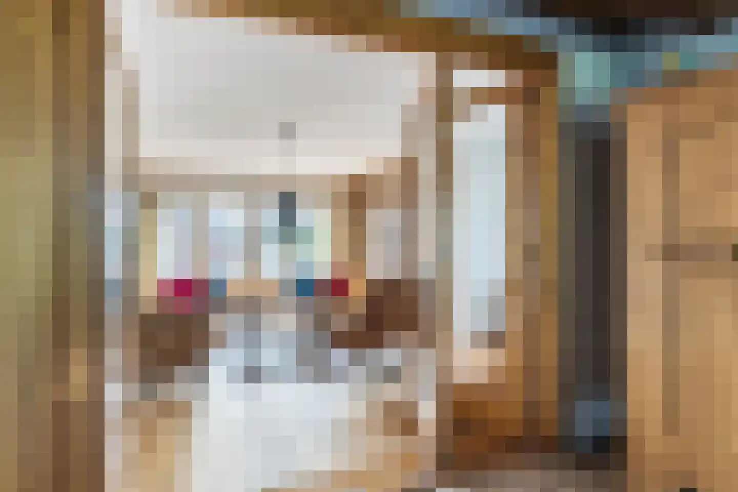 Ganzestraat 30 Hapert thumbnail 7