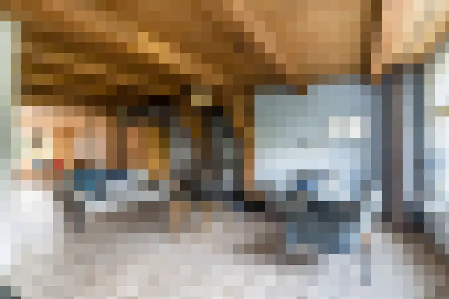 Ganzestraat 30 Hapert thumbnail 8