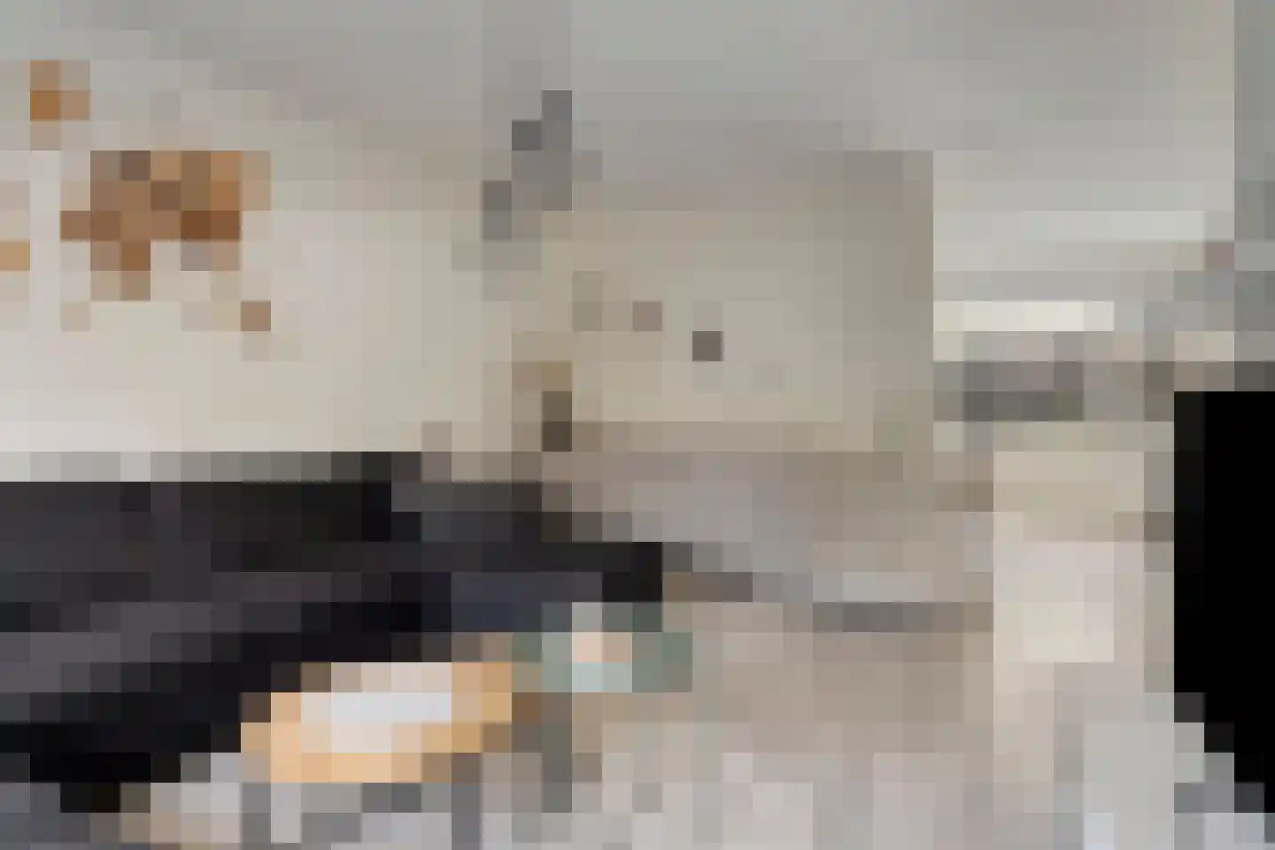 Ganzestraat 6 Heinkenszand thumbnail 11