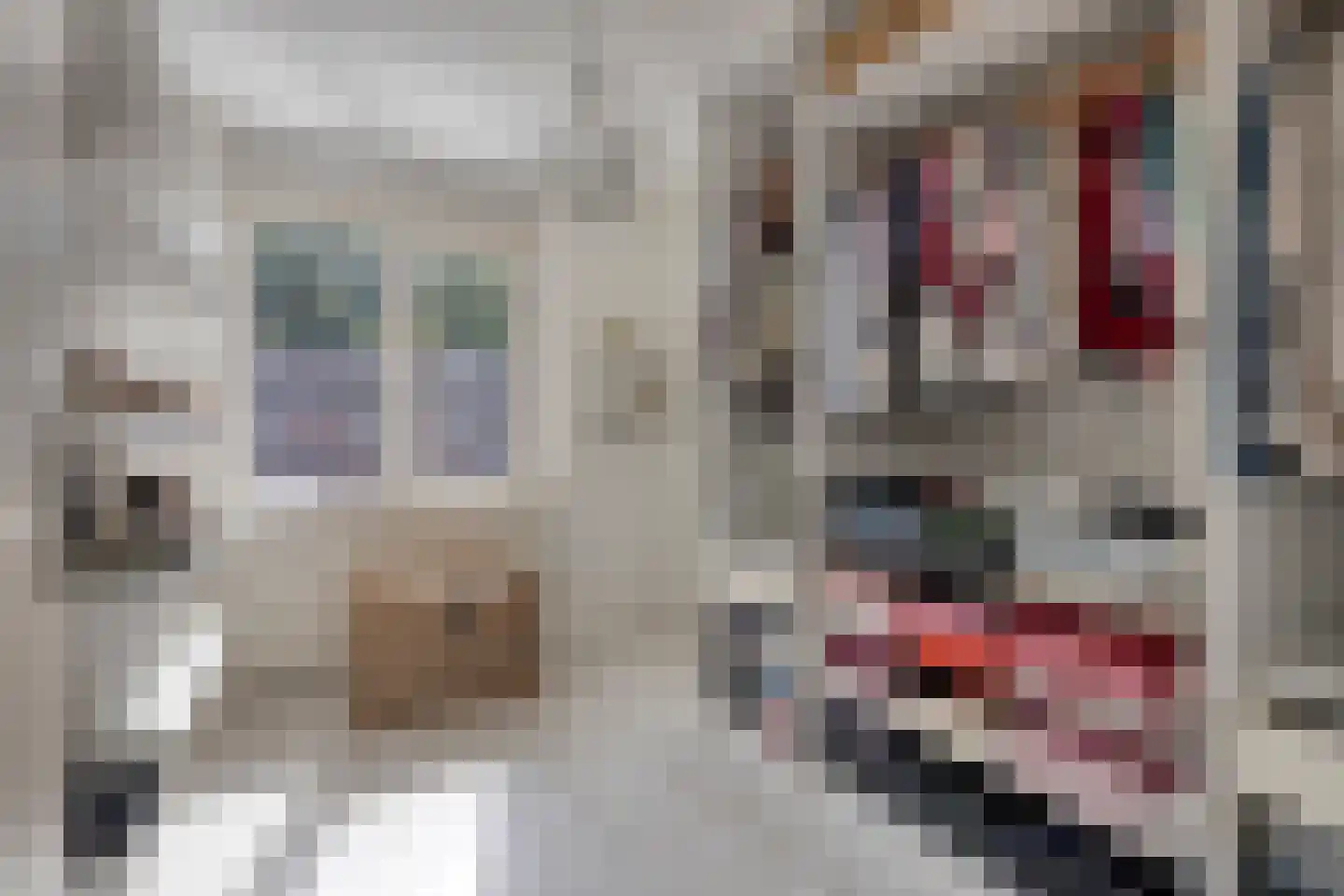 Ganzestraat 6 Heinkenszand thumbnail 23