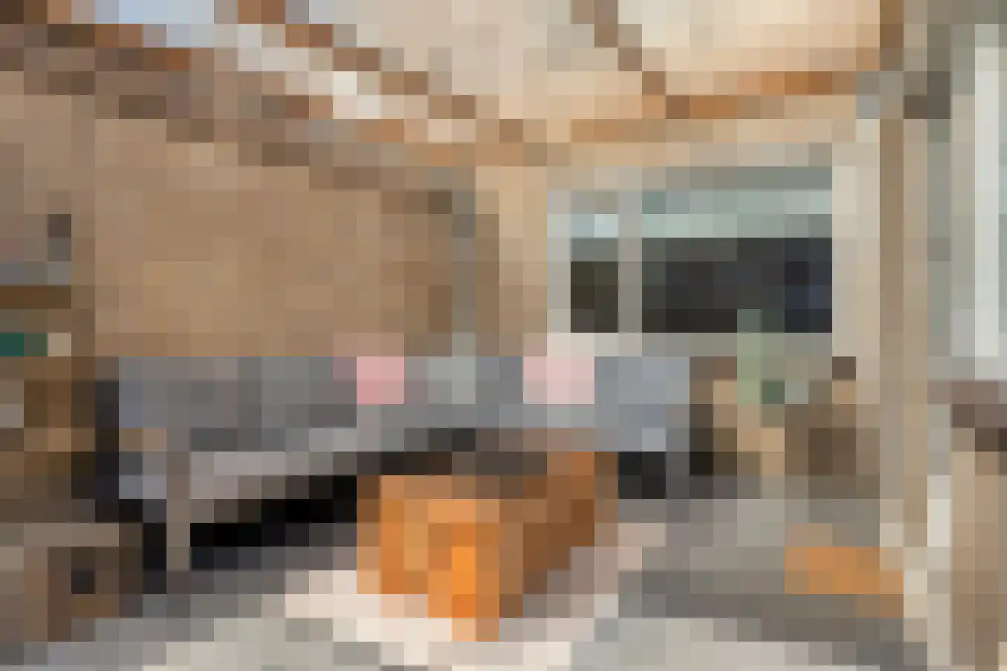 Ganzestraat 6 Heinkenszand thumbnail 28