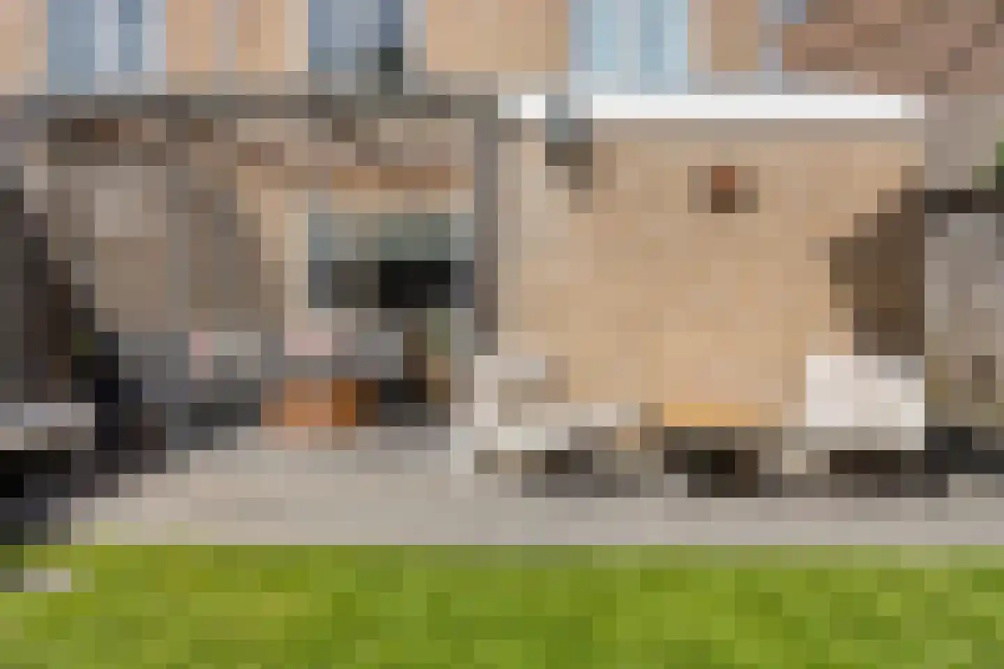 Ganzestraat 6 Heinkenszand thumbnail 30