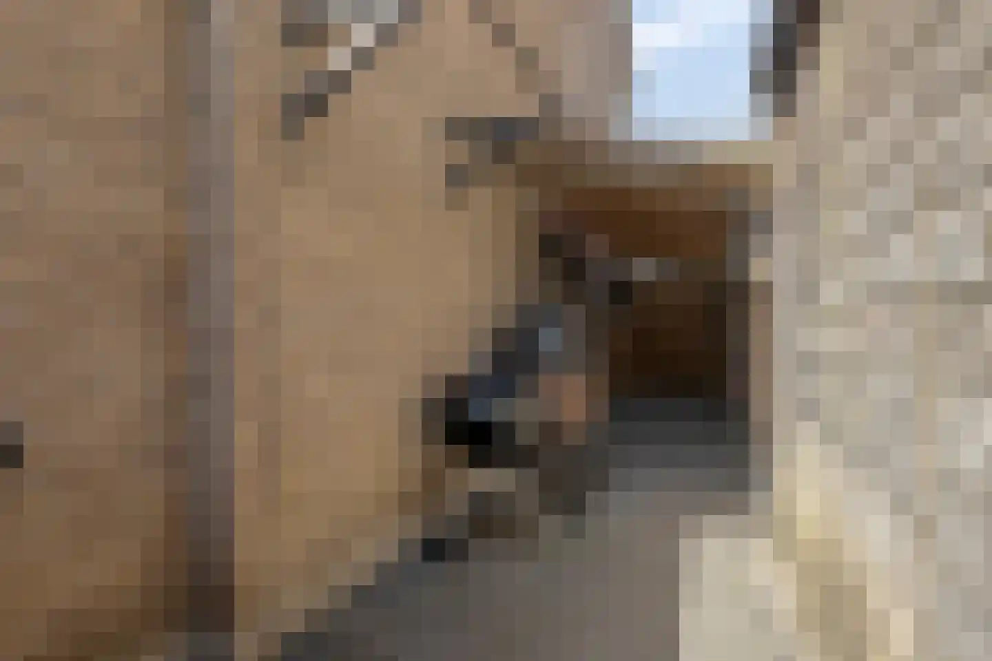 Ganzestraat 6 Heinkenszand thumbnail 32
