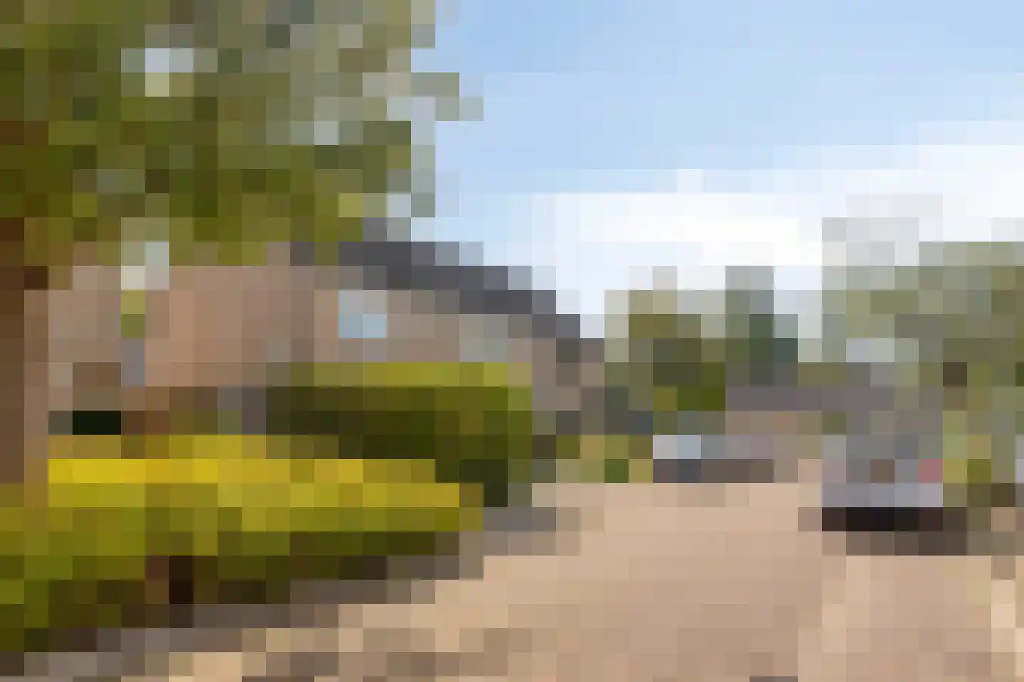 Ganzestraat 6 Heinkenszand thumbnail 33