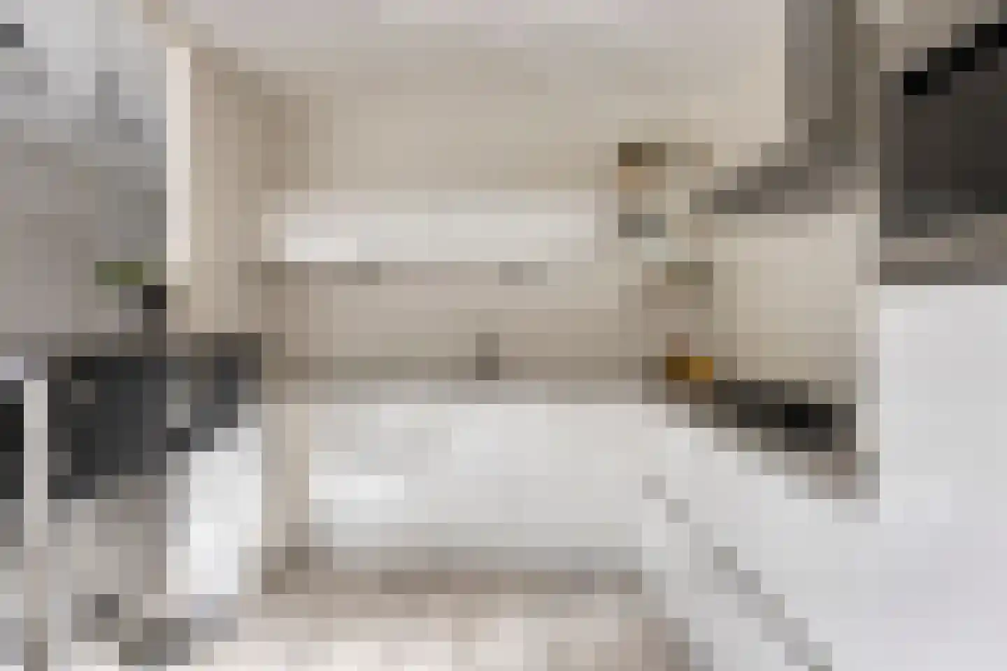 Ganzestraat 6 Heinkenszand thumbnail 4