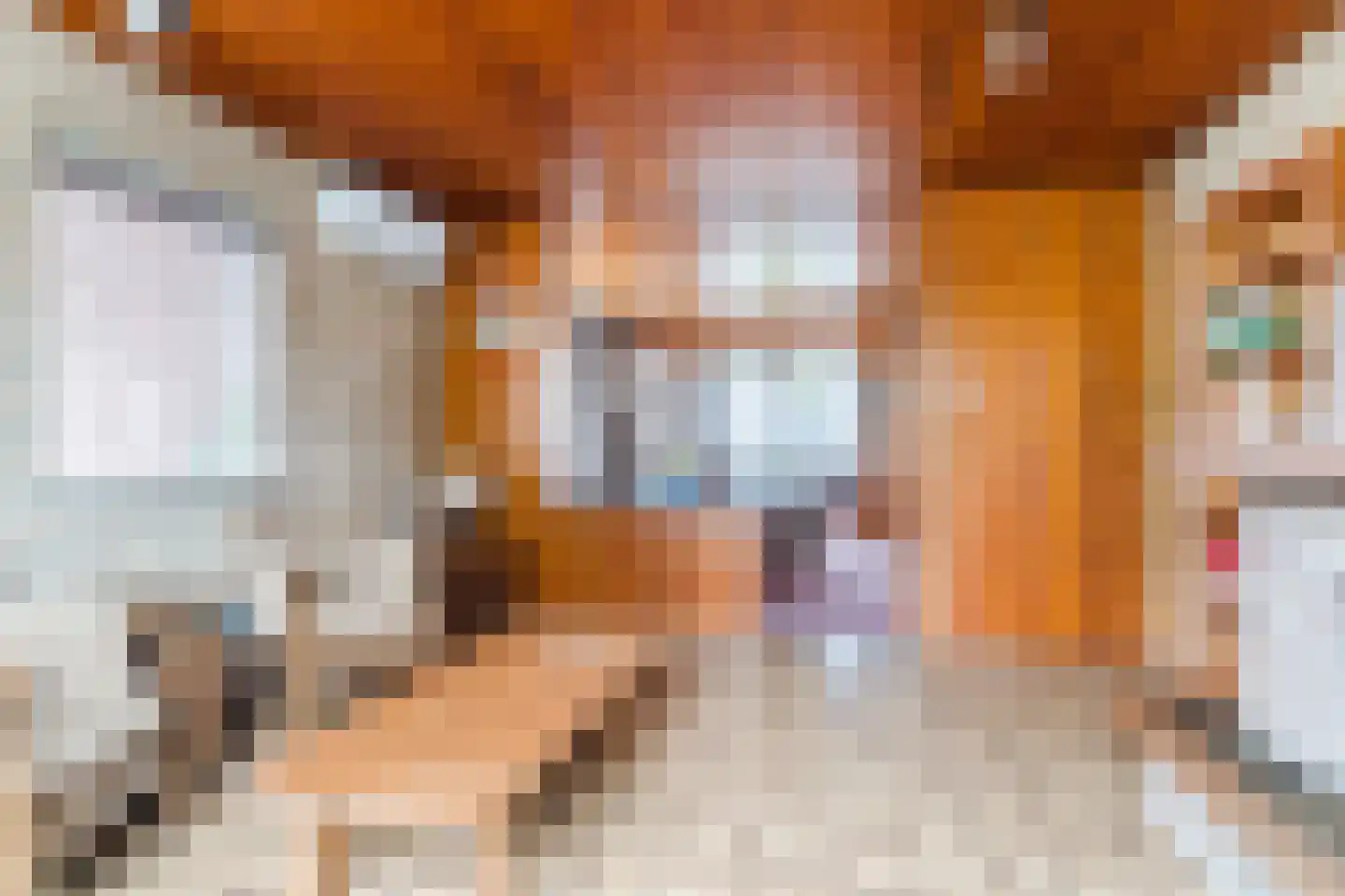 Ganzestraat 7 A Hapert thumbnail 10