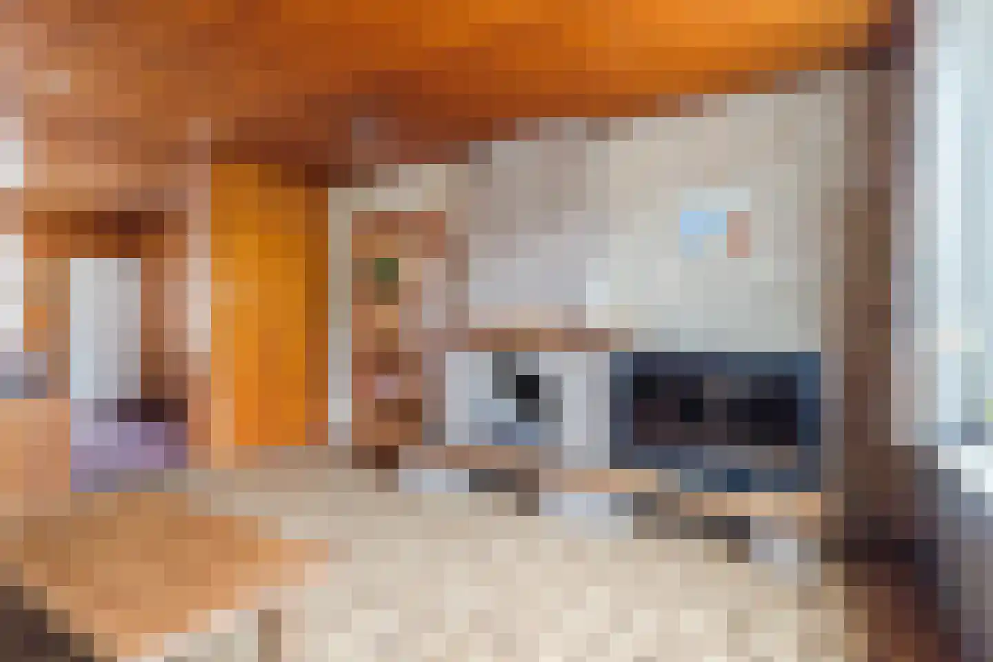Ganzestraat 7 A Hapert thumbnail 11