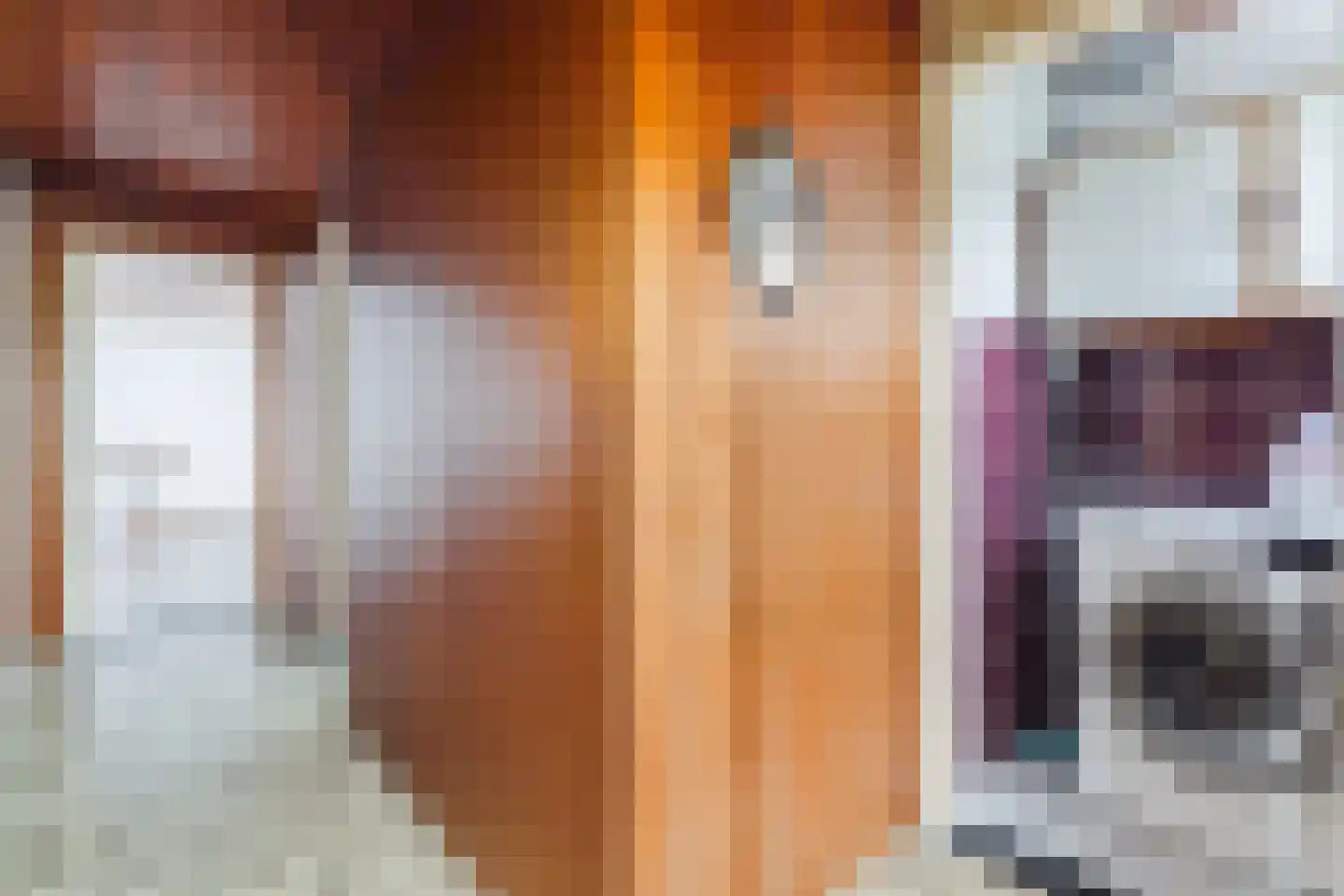 Ganzestraat 7 A Hapert thumbnail 16