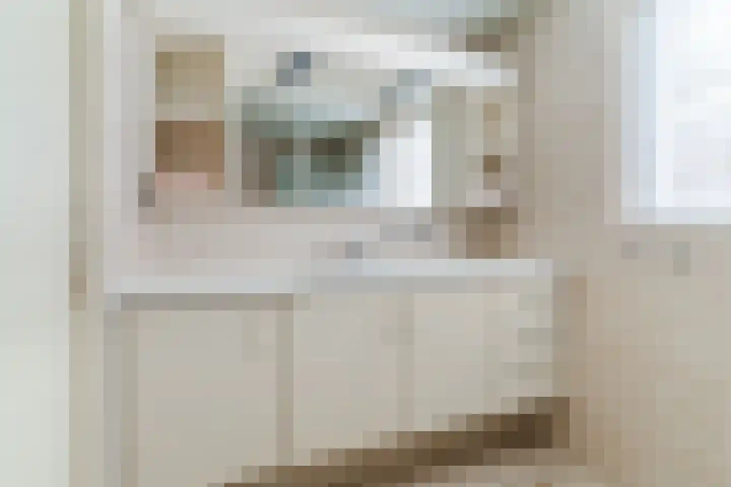 Ganzestraat 7 A Hapert thumbnail 18