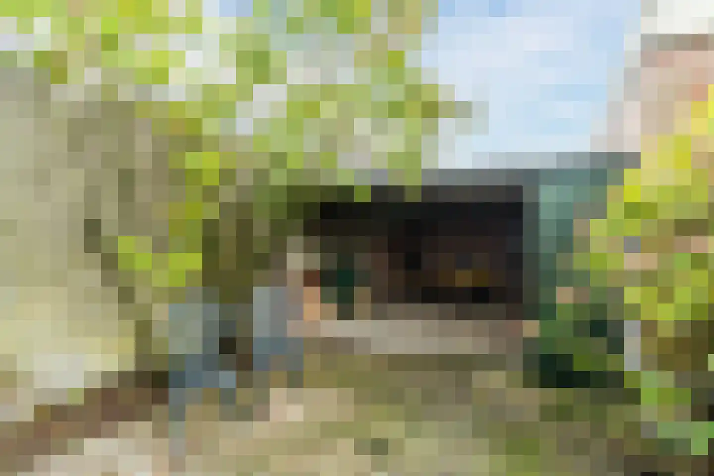 Ganzestraat 7 A Hapert thumbnail 31