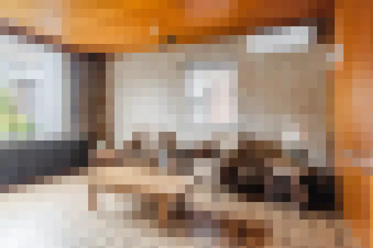 Ganzestraat 7 A Hapert thumbnail 9