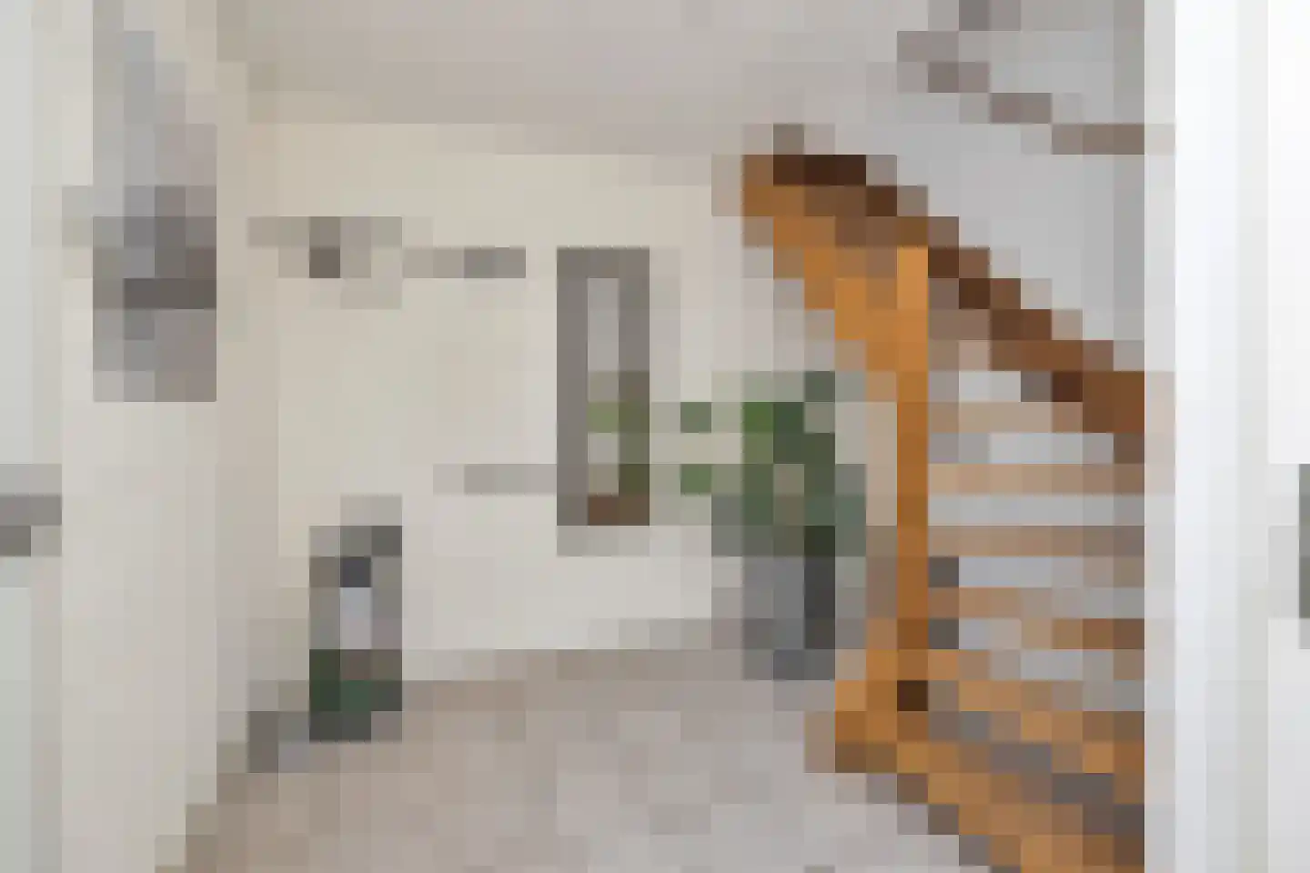 Ganzestraat 9 Heinkenszand thumbnail 11