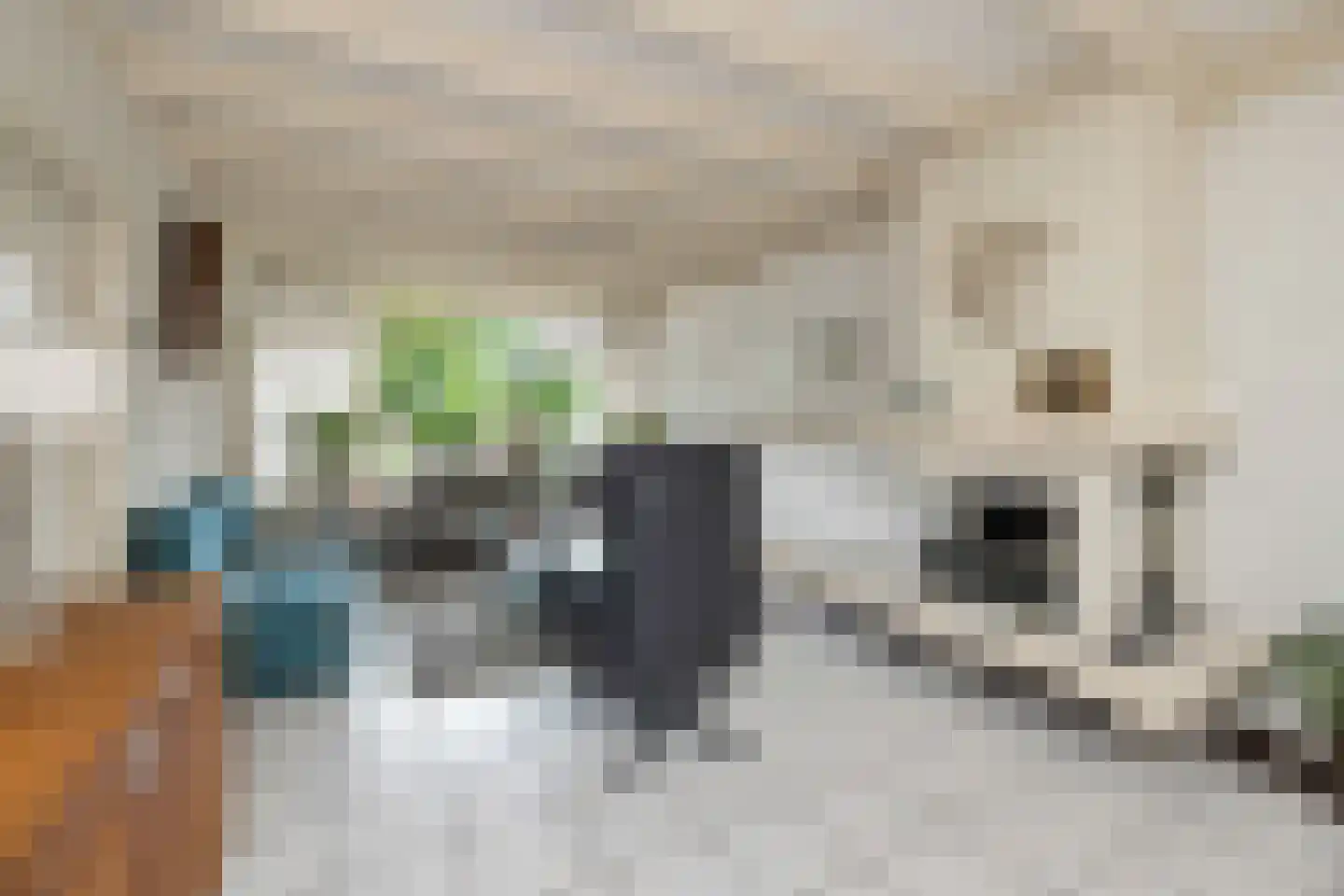 Ganzestraat 9 Heinkenszand thumbnail 15