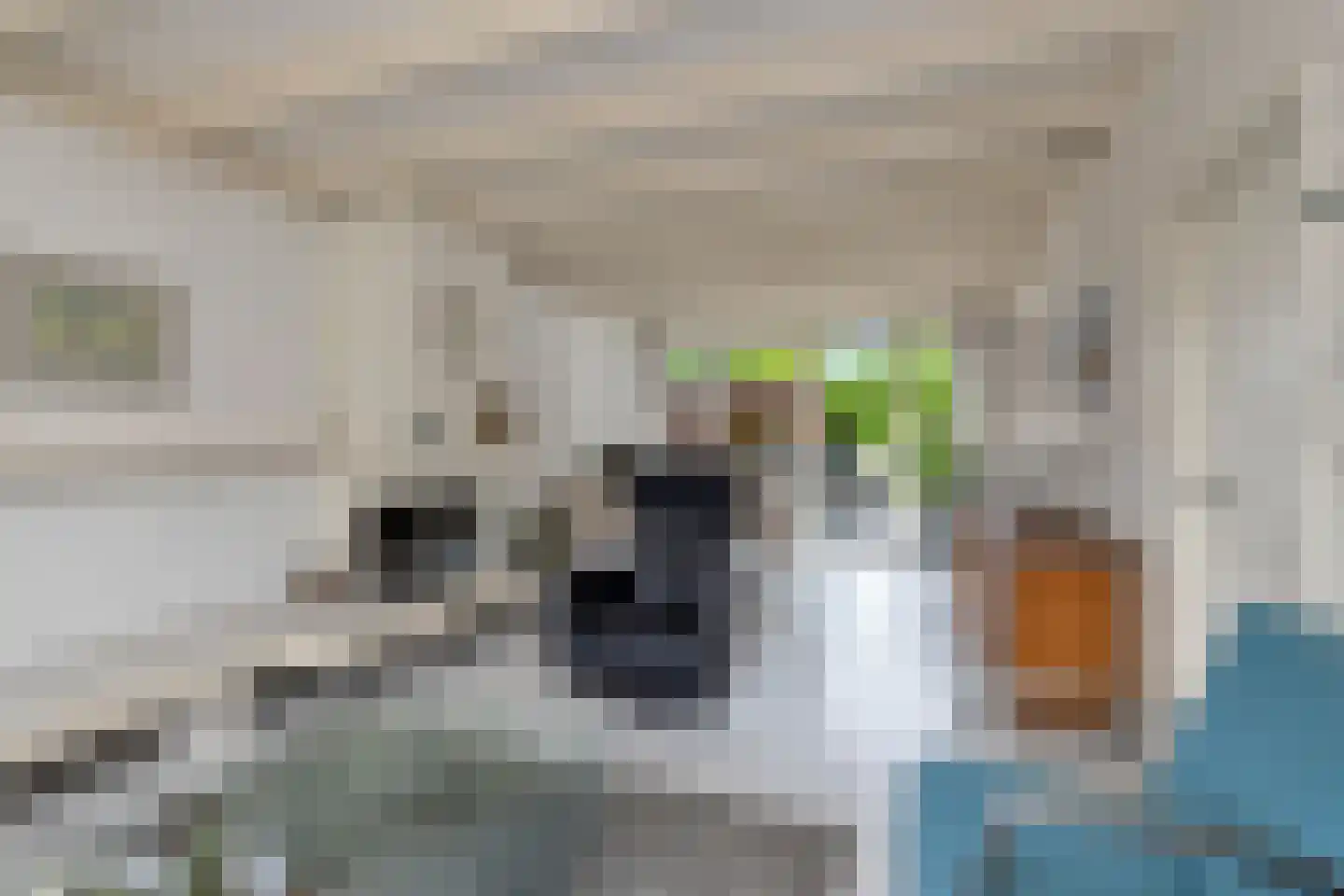 Ganzestraat 9 Heinkenszand thumbnail 16