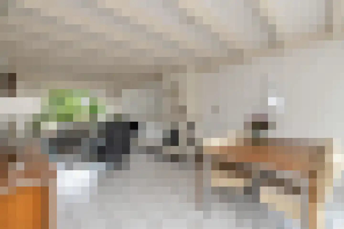 Ganzestraat 9 Heinkenszand thumbnail 18