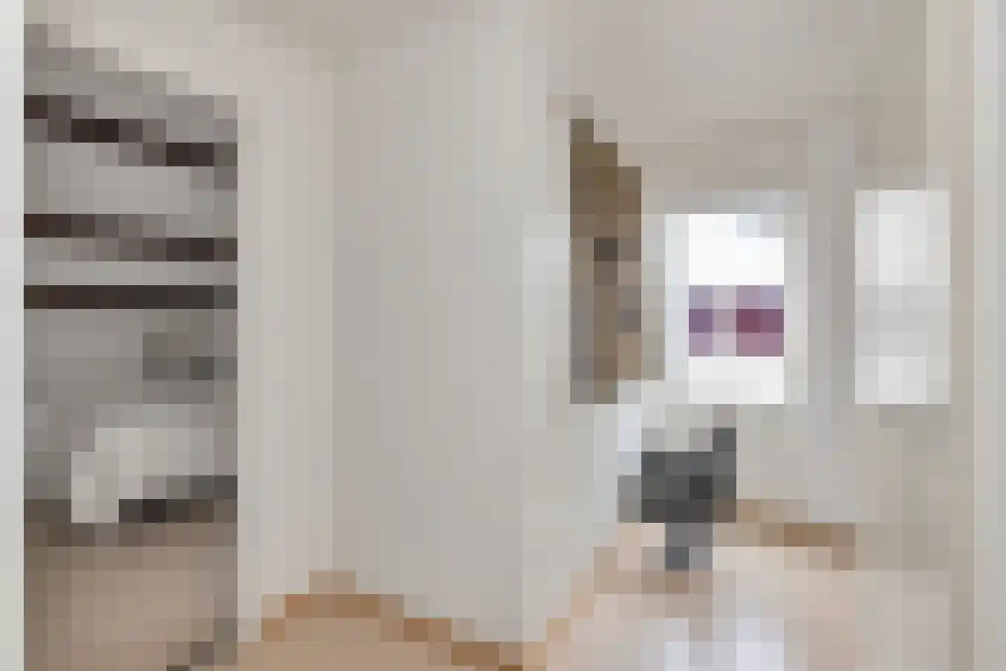 Ganzestraat 9 Heinkenszand thumbnail 32