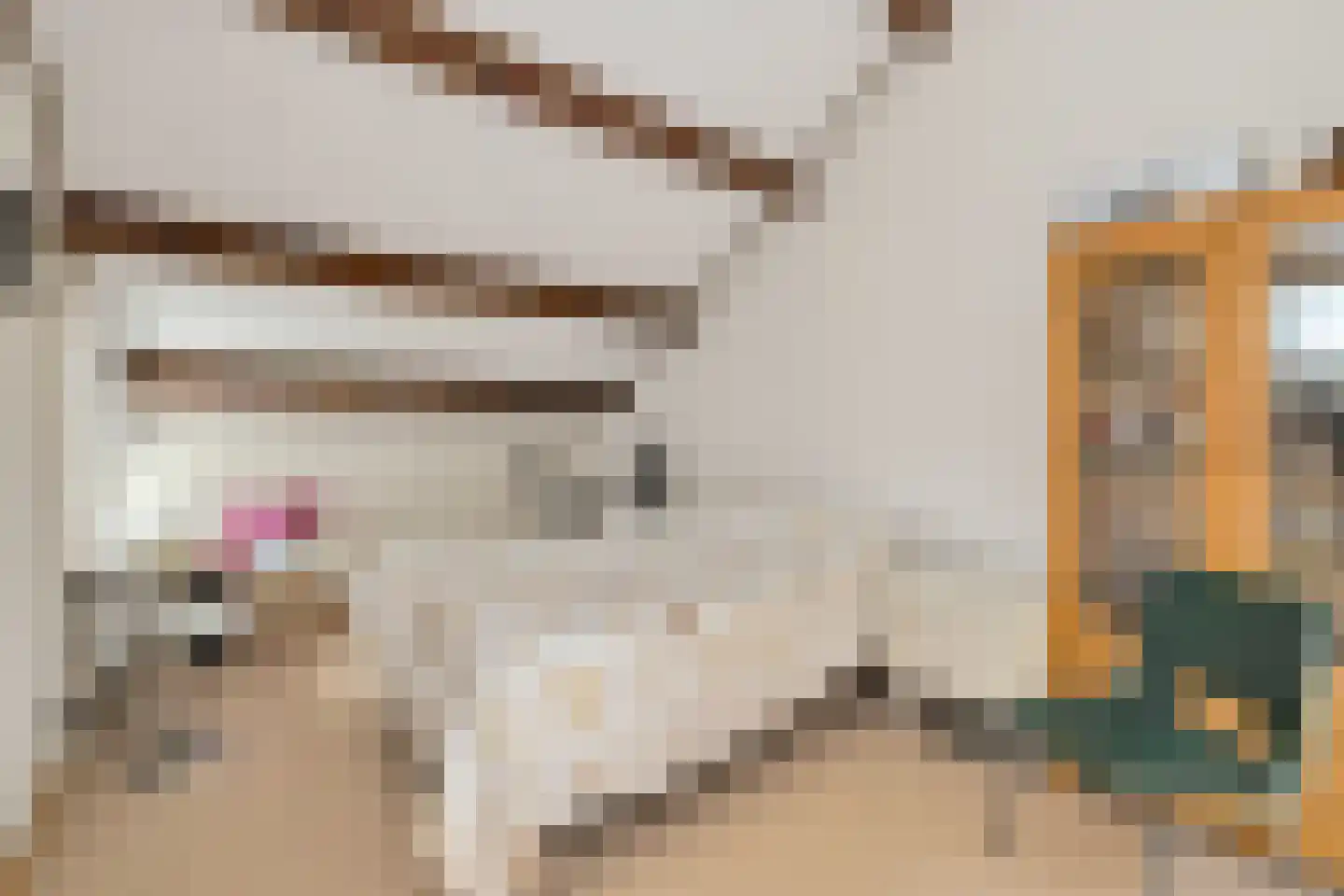 Ganzestraat 9 Heinkenszand thumbnail 33