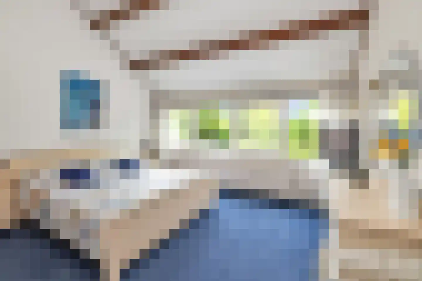 Ganzestraat 9 Heinkenszand thumbnail 36