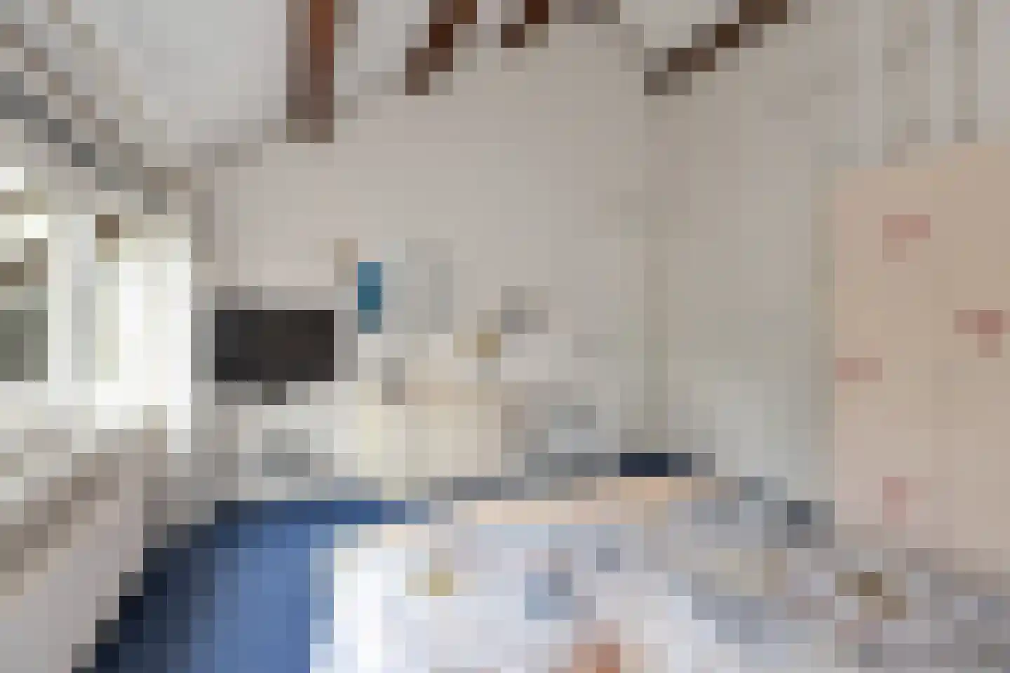 Ganzestraat 9 Heinkenszand thumbnail 39