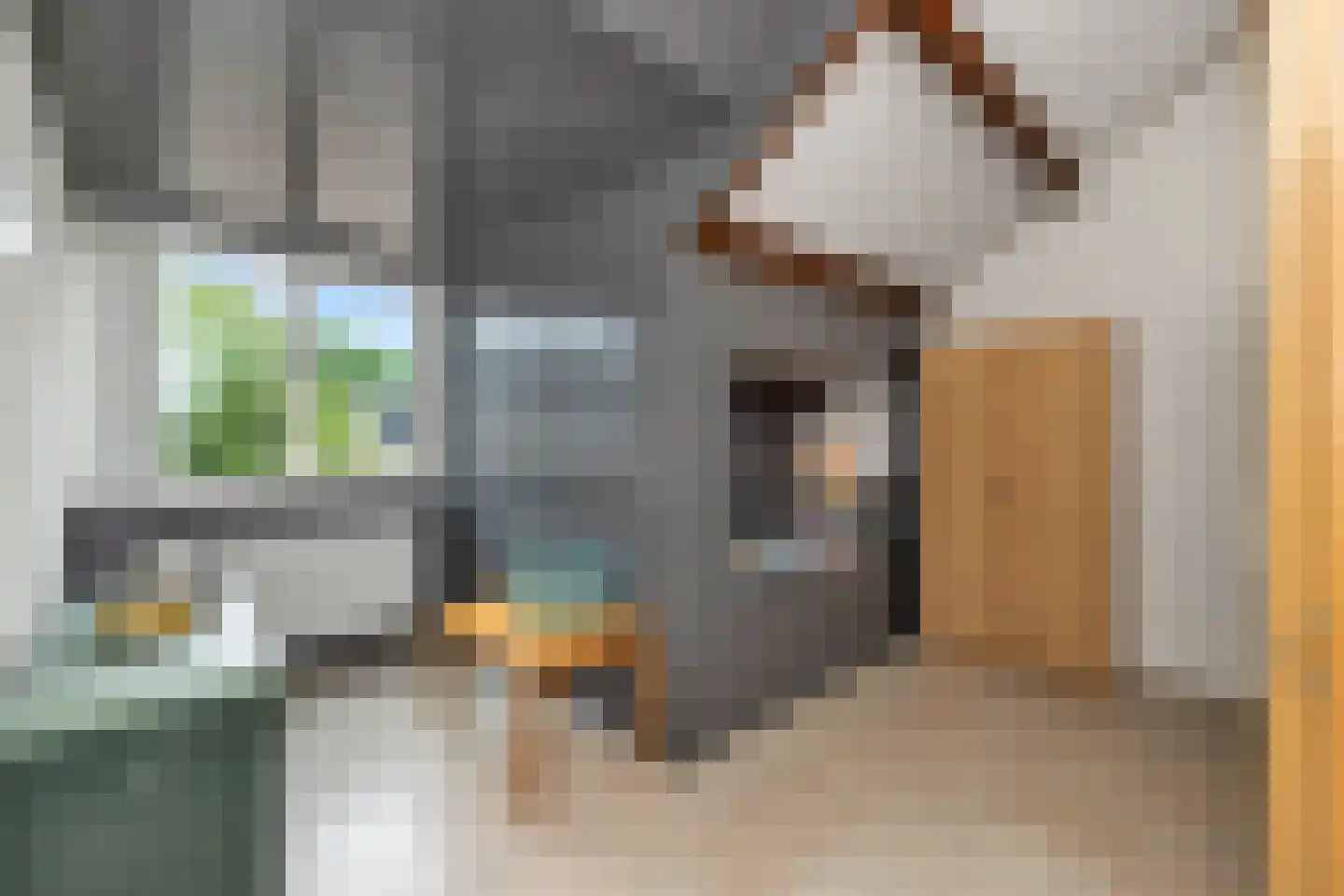 Ganzestraat 9 Heinkenszand thumbnail 40