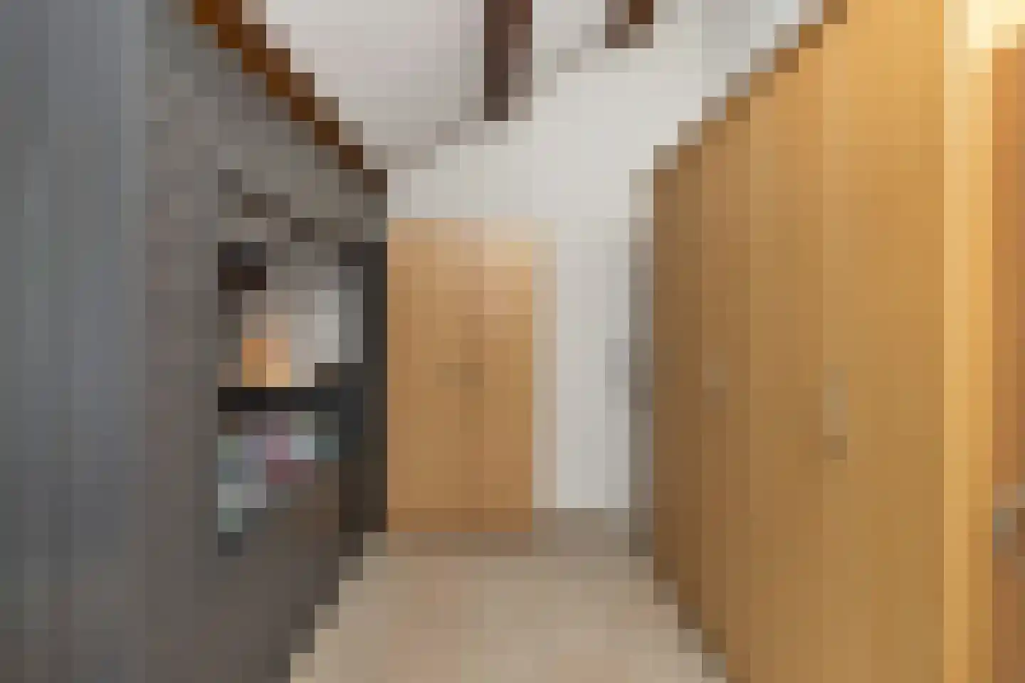 Ganzestraat 9 Heinkenszand thumbnail 41