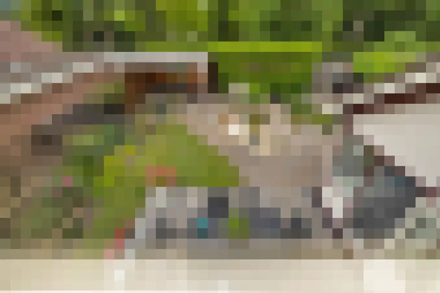 Ganzestraat 9 Heinkenszand thumbnail 48
