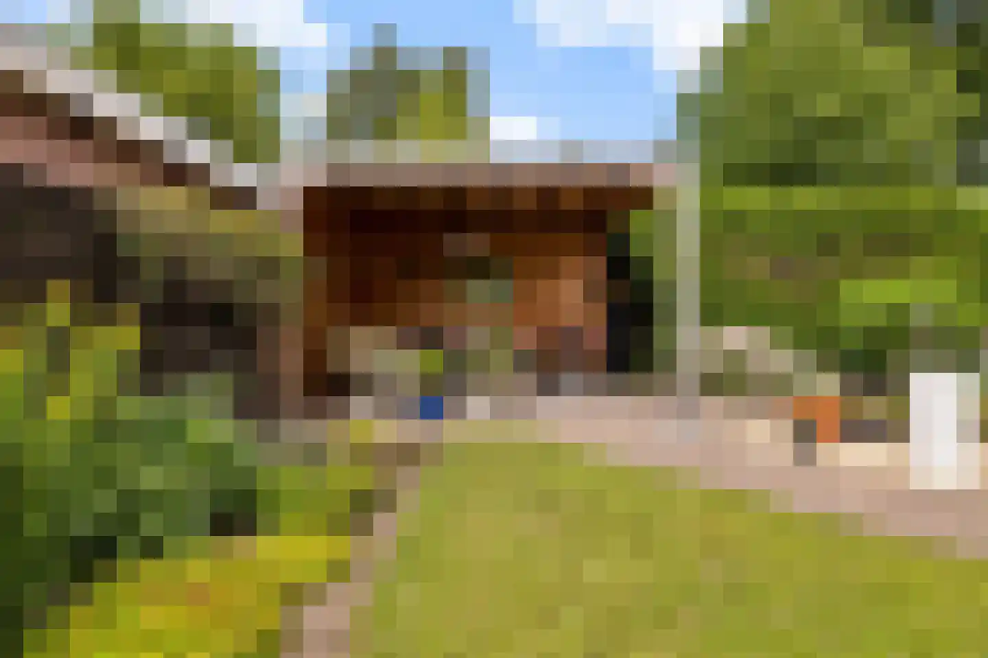 Ganzestraat 9 Heinkenszand thumbnail 5