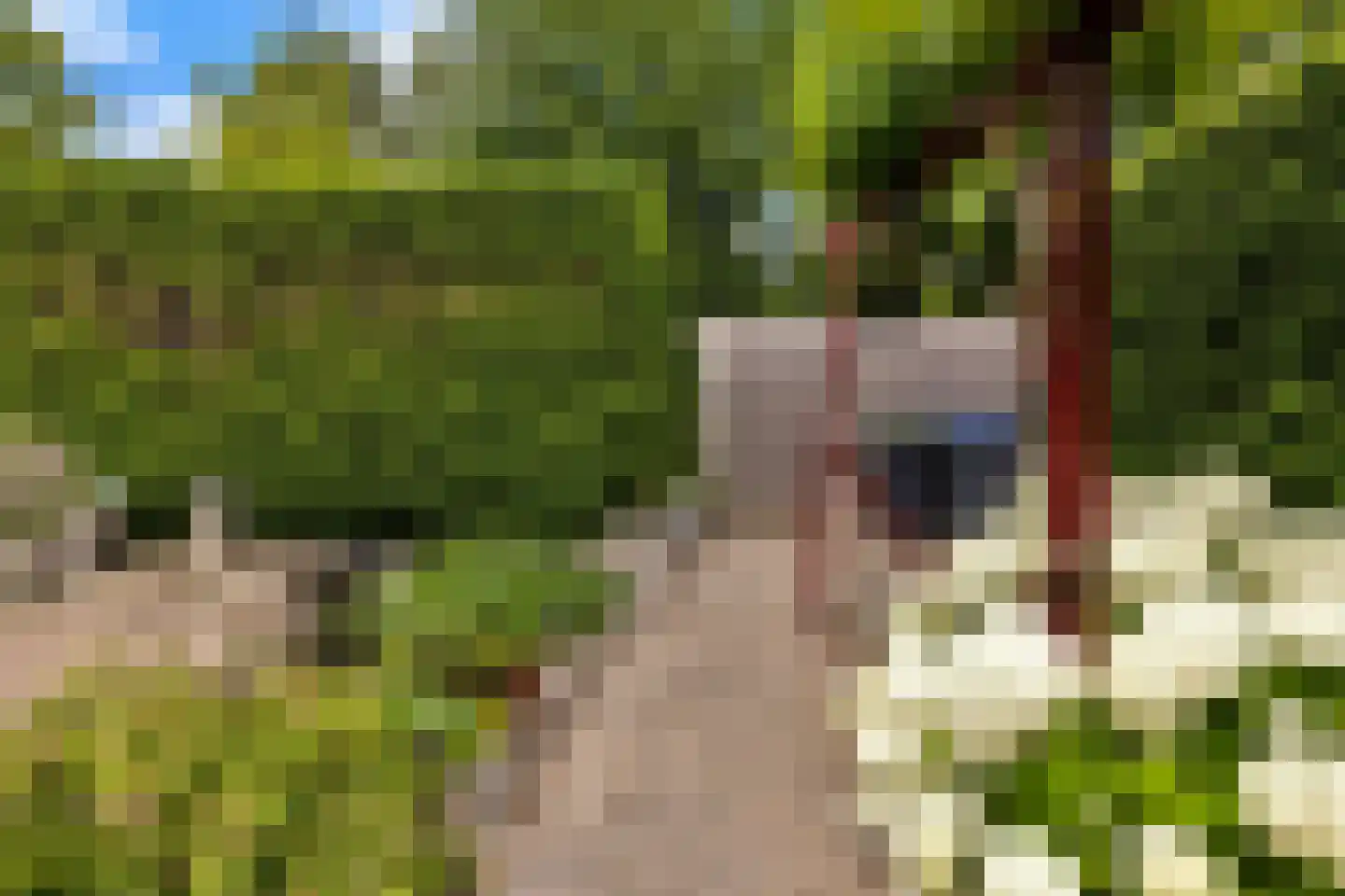 Ganzestraat 9 Heinkenszand thumbnail 58