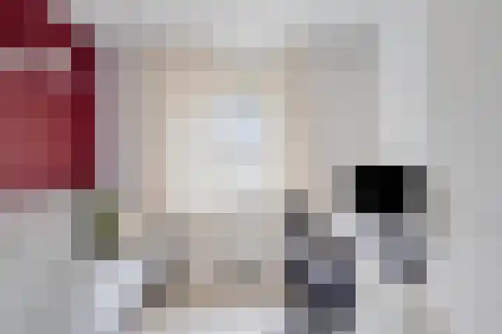 Ganzetongstraat 20 Valkenswaard thumbnail 18
